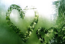 “体育强国”大家谈│健身去哪儿？让群众锻炼需求从“更多”转向“更好”2025-03-11.