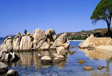 NBA战报：詹姆斯25+8&里夫斯31分，东契奇准三双，湖人134-127灰熊.